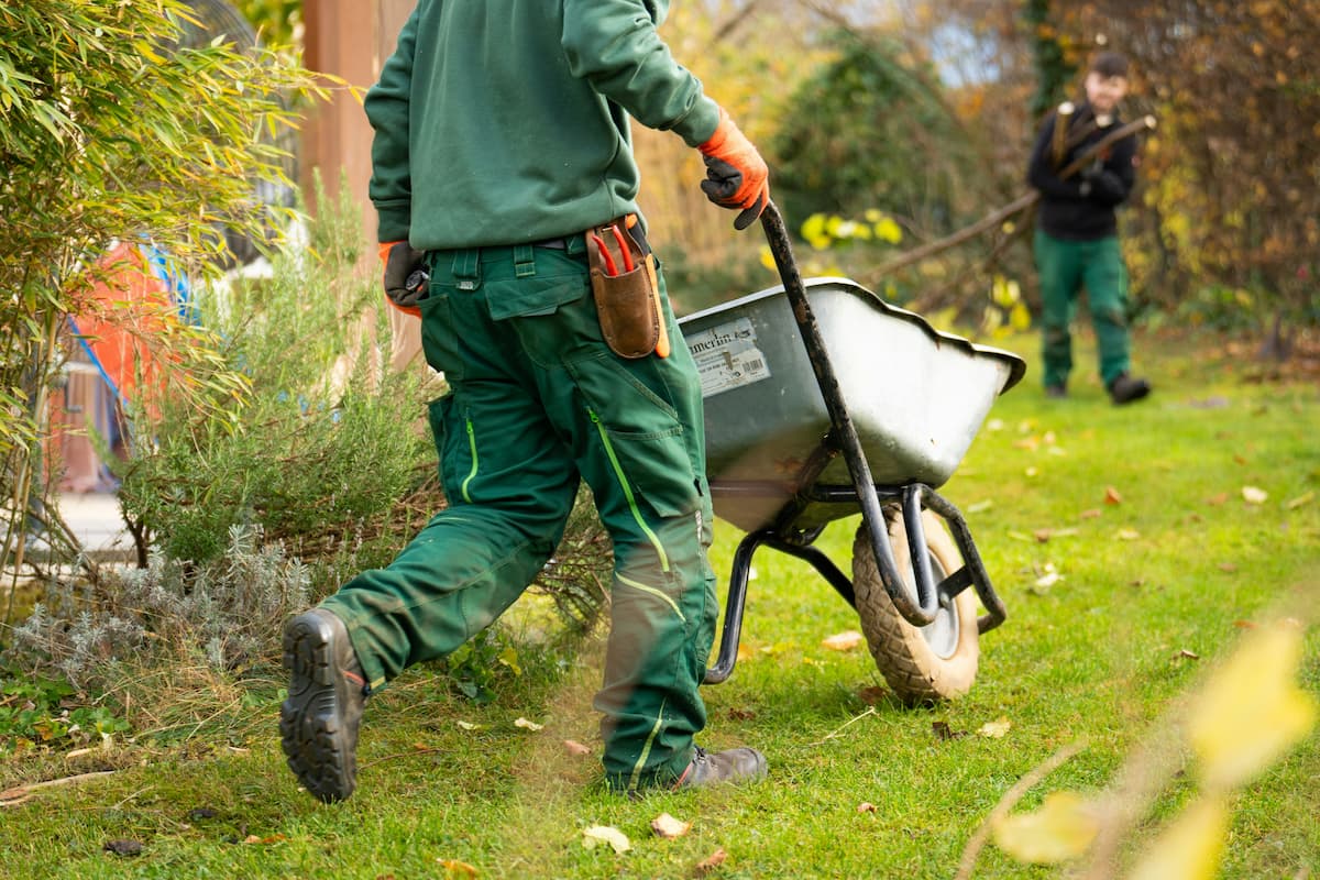 Cleveland Landscape Maintenance Service